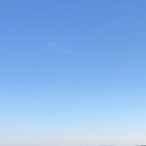 Meet your Posher, Lily